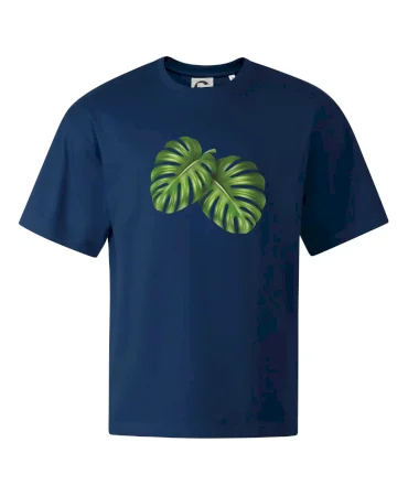 Monstera - dva listy