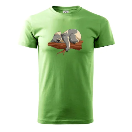 Koala na vetve