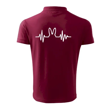 EKG zajac