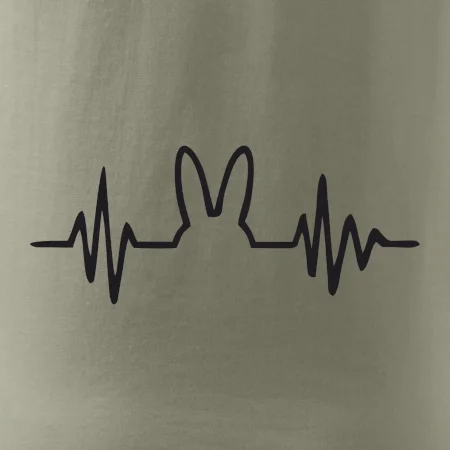 EKG zajac