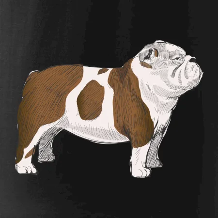 Vintage English bulldog