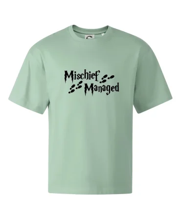 Harry - Mischief Managed