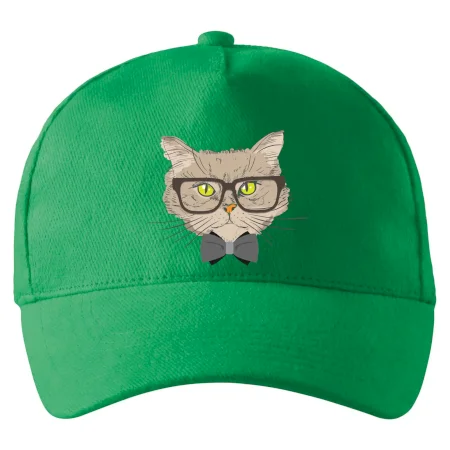Hipster kocúrik