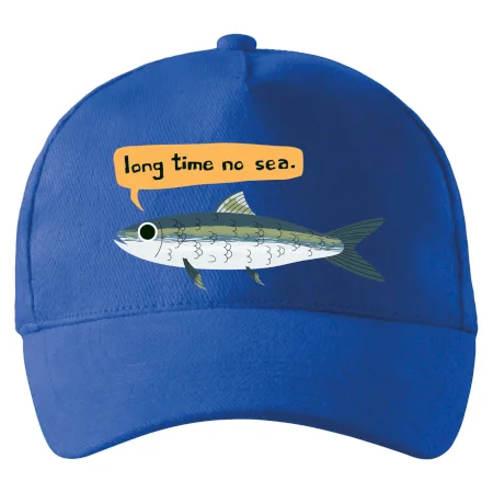 Long time no sea