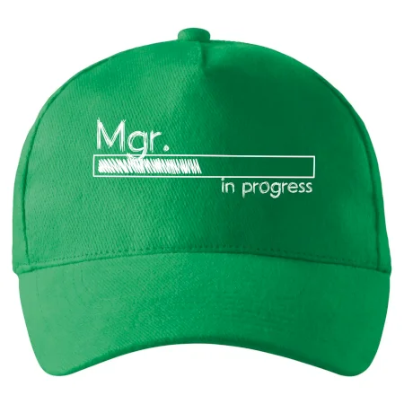 In progress titul Mgr. magister / magistra