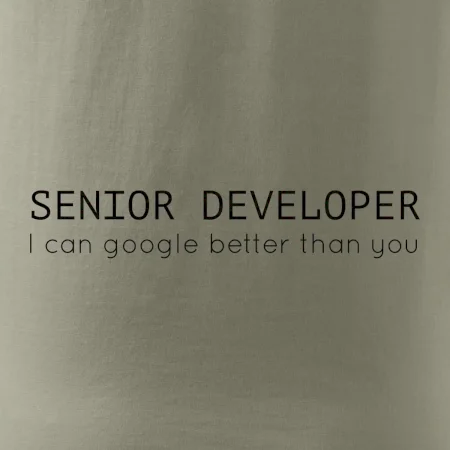 Senior developer google better than you
