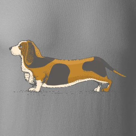 Vintage basset