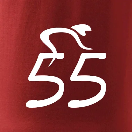 Cyklista oslavuje päťdesiatpäťku (55)