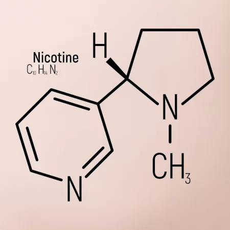 Molekulárna štruktúra Nikotín