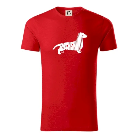 Jazvečík - Dachshund
