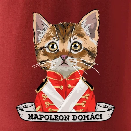 Napoleon domáci mačka