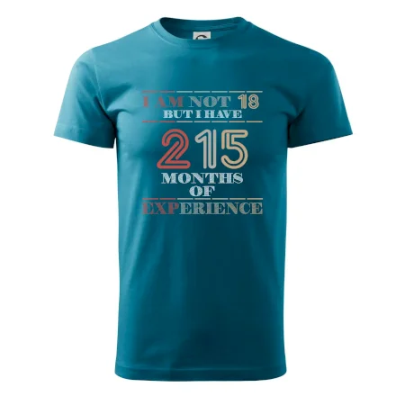 18 years 215 months of experience