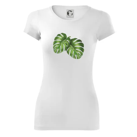 Monstera - dva listy