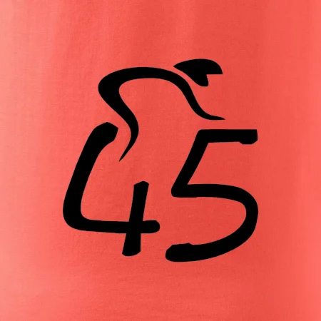 Cyklista oslavuje štyridsaťpäťku (45)