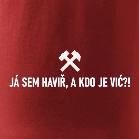 JÁ SEM HAVIŘ, A KDO JE VIĆ?!﻿