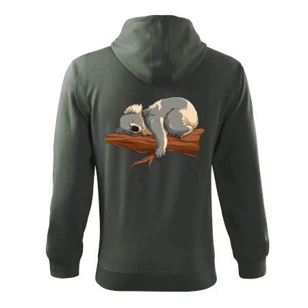 Koala na vetve
