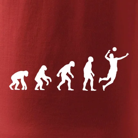 Evolúcia volejbal smeč