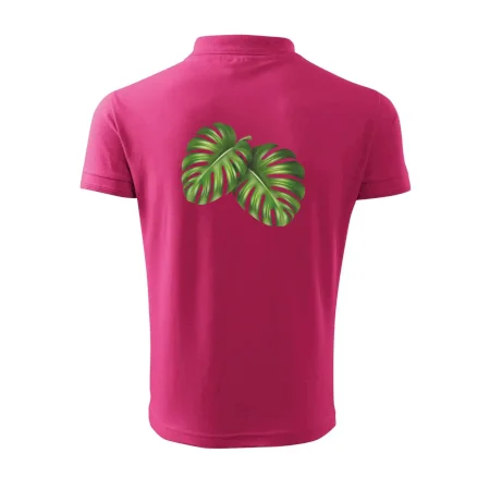 Monstera - dva listy