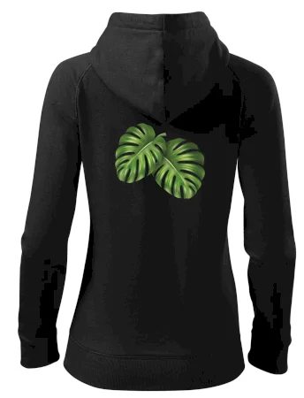 Monstera - dva listy