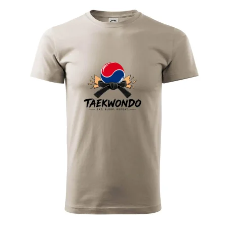 Taekwondo pás a rozlomená deska eat sleep repeat