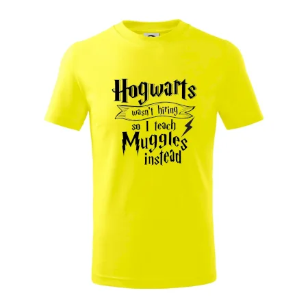 Harry - Hogwarts wasn’t hiring, so I teach Muggles instead