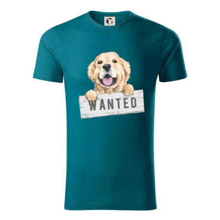 Zlatý retriever - šteniatko wanted