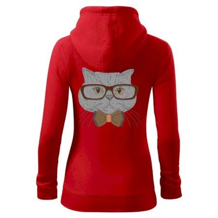 Hipster britská modrá