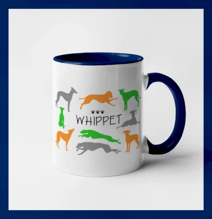 Whippet farebný