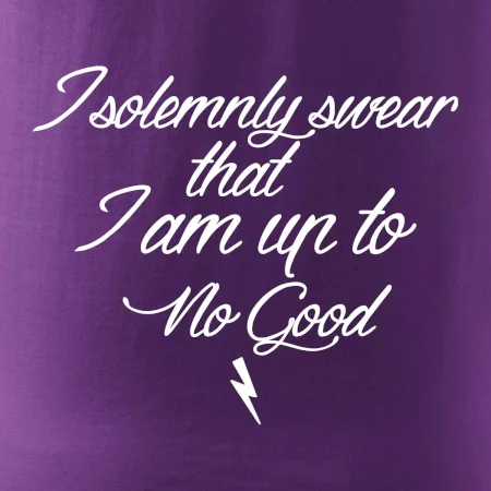 I solemnly swear that I'm up to no good