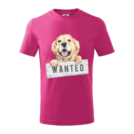 Zlatý retriever - šteniatko wanted