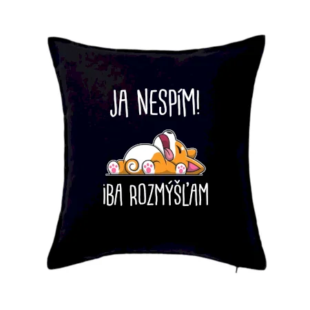 Ja nespím, iba rozmýšľam SK