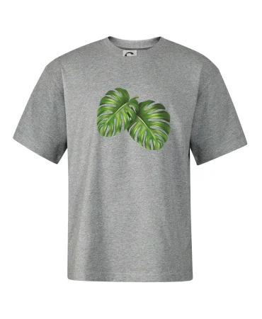 Monstera - dva listy