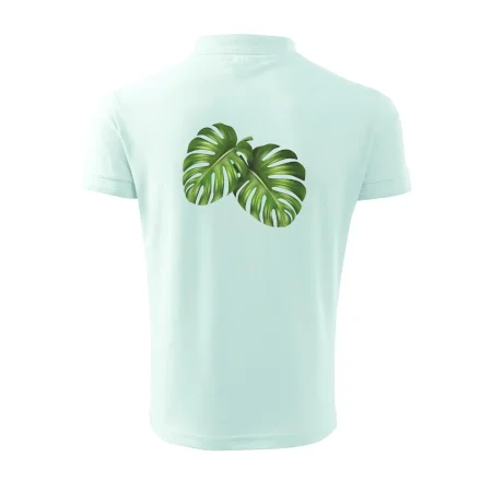 Monstera - dva listy