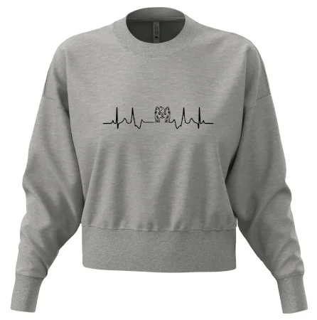 Shih-tzu ekg hlava