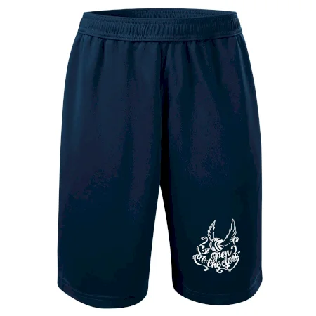 Harry - Zlatá strela