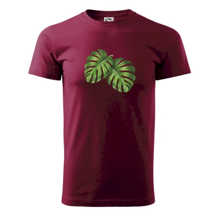 Monstera - dva listy