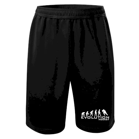 Evolúcia Hockey - hráč