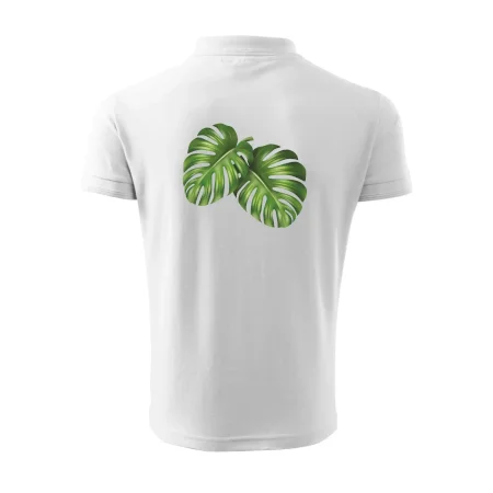 Monstera - dva listy