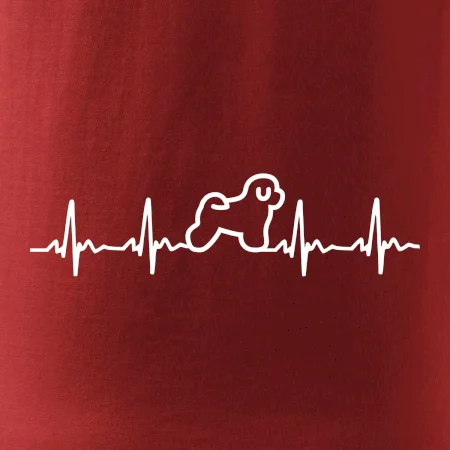Bišónik ekg