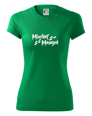 Harry - Mischief Managed