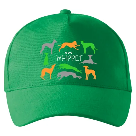 Whippet farebný