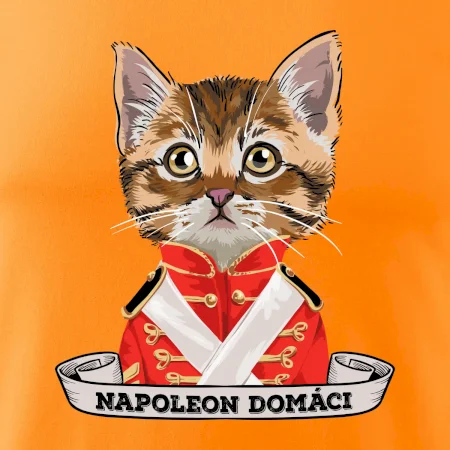 Napoleon domáci mačka