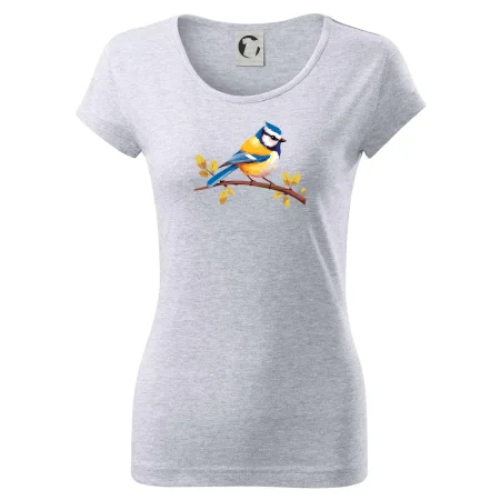 Sýkorka modrinka kreslená