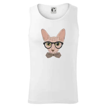 Hipster sphynx