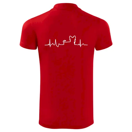 Yorkshirský teriér EKG