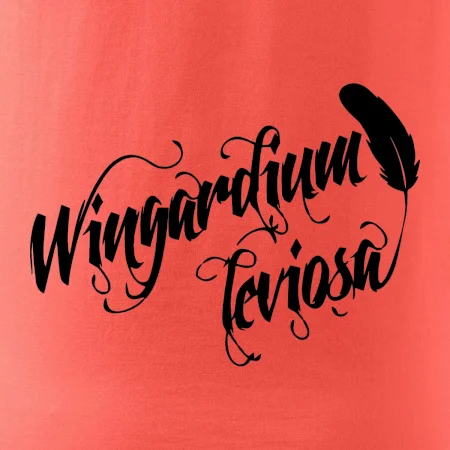 Harry - Wingardium Leviosa