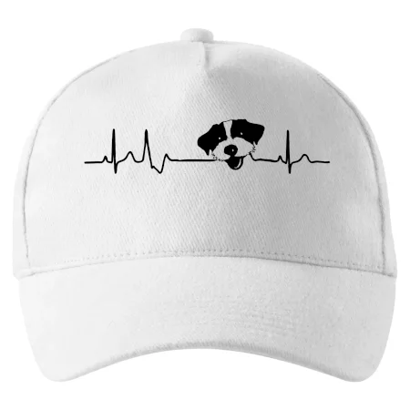 Jack Russell Teriér hrubosrstý Ekg