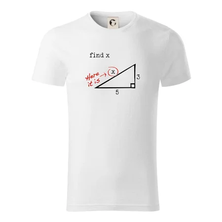 Find X - geometria