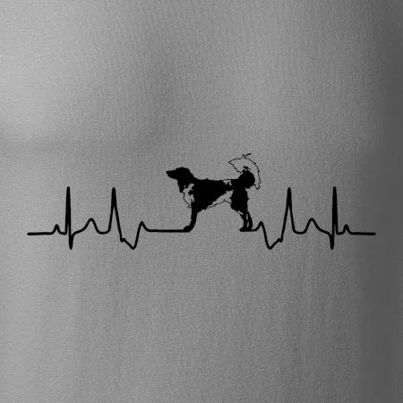 Český strakatý pes EKG