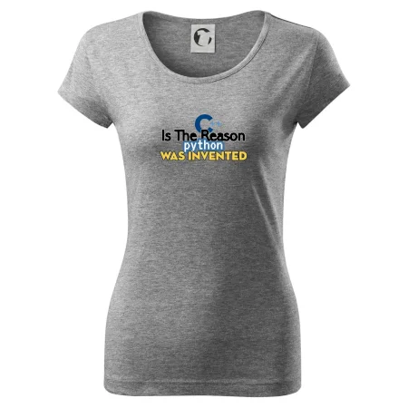 C++ Is The Reason Python Was Invented